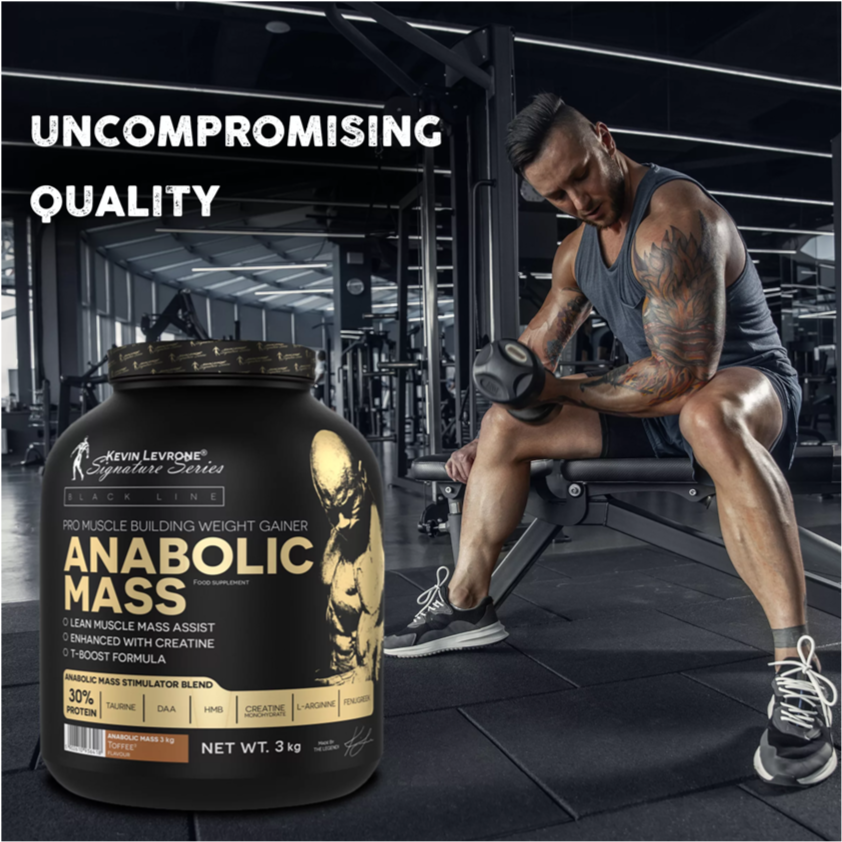 Kevin Levrone Anabolic Mass Gainer